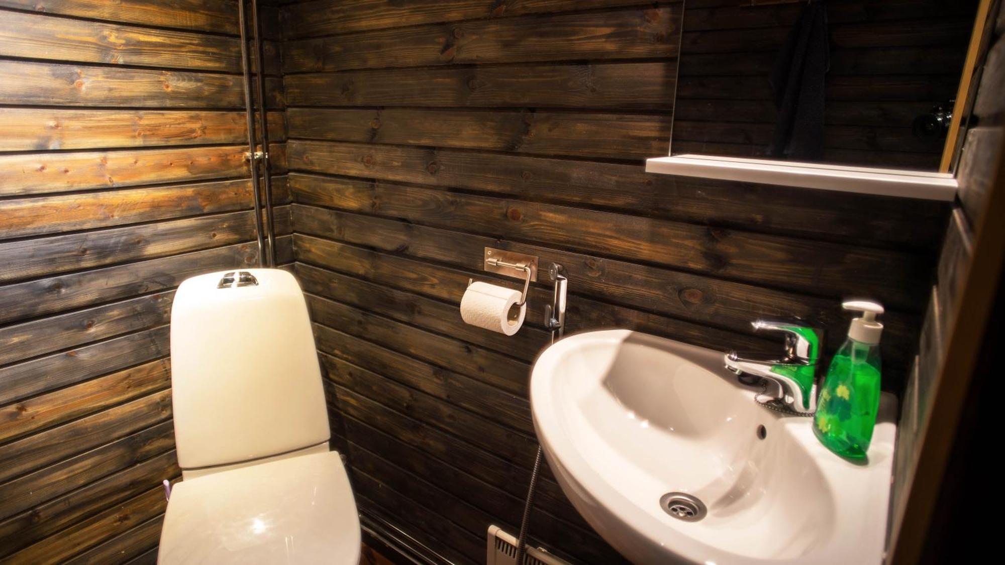 Arctic Giant Aparthotel Paltamo Room photo